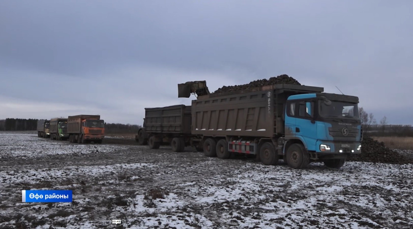 Башортостанда баыуаран шкр сглдрн йыйыу м сыарыу дауам ит