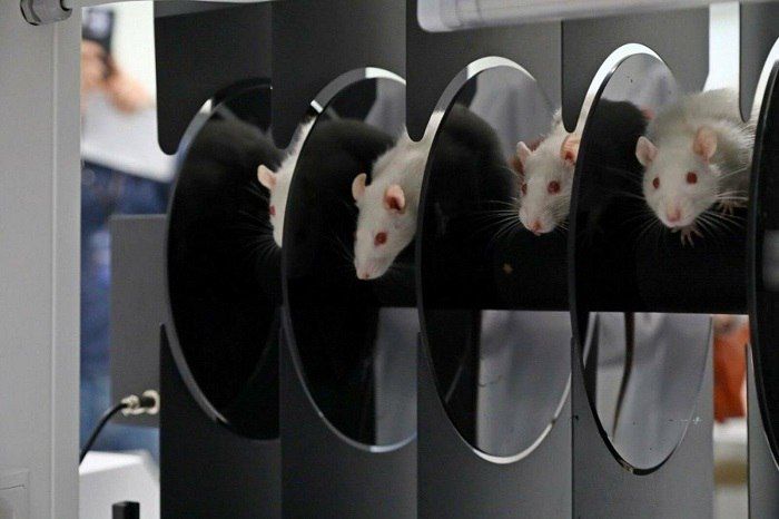 ������ ���� ��������� ����� ��������������