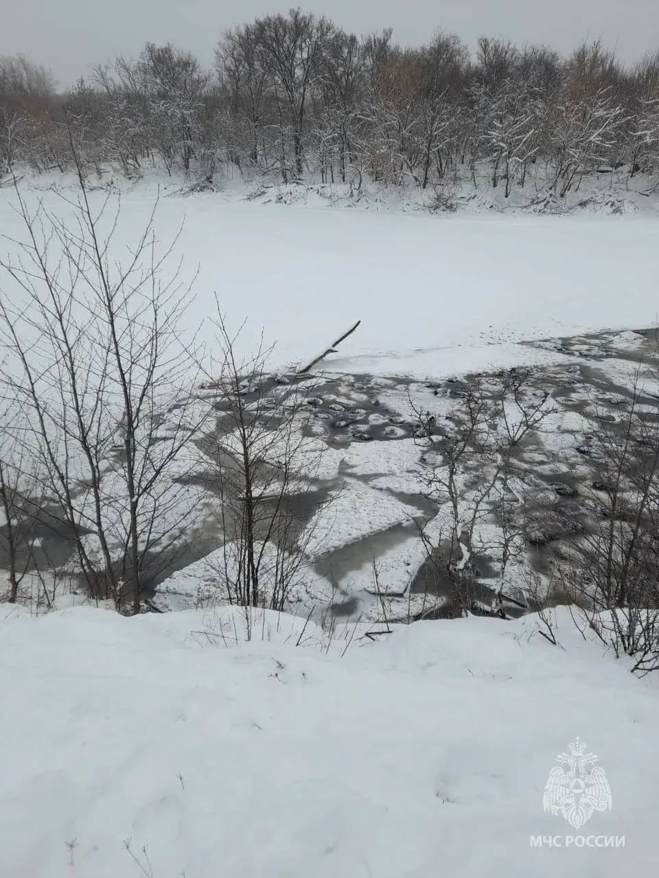 Более 200 овец подо льдом. ЧП произошло на озере Узеть возле хутора Луч Бирского района