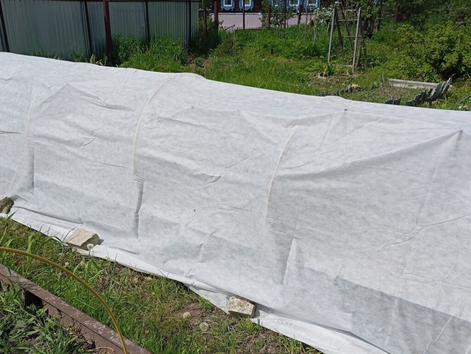 ��� ������� � ������� �������� ������� ������ ������