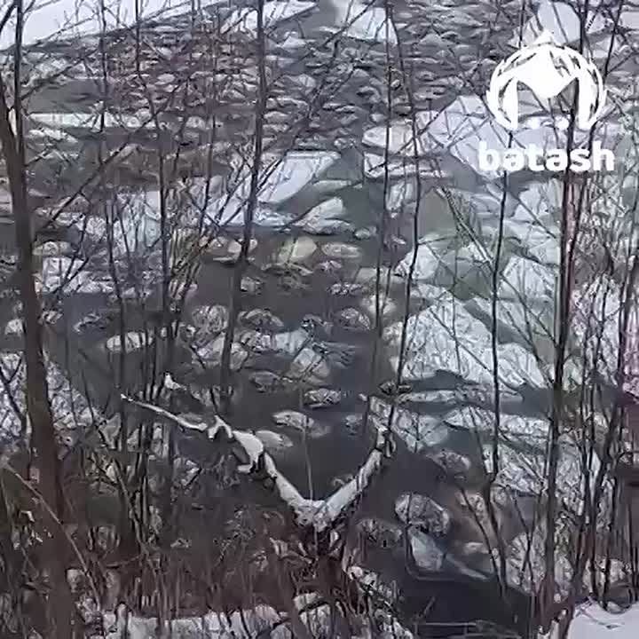 ������ ������� ������� ����������� ��� �� � ������� ������