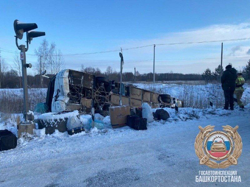 � ������������ ����������� ����������� ������� � �����������