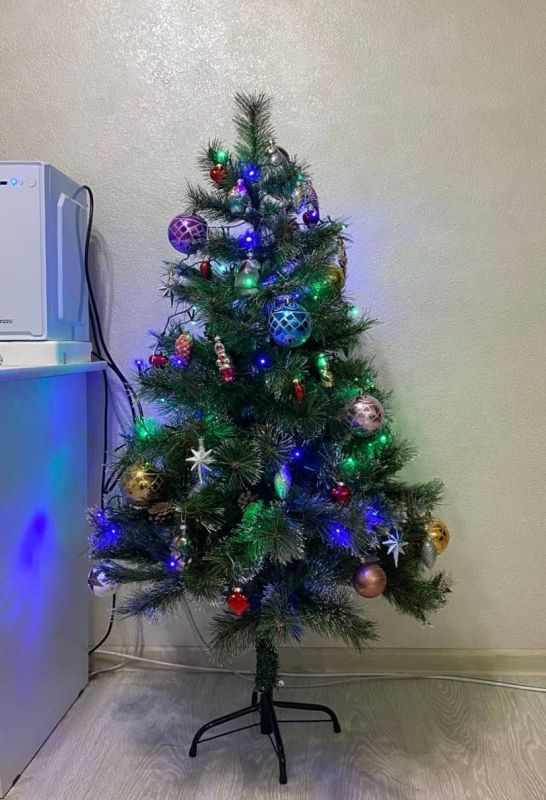 �� ������ ���� 15 ����. ��� ��� ������� ������?