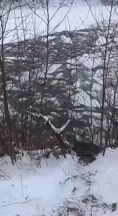 Более 200 баранов провалились под лед на озере в Башкирии