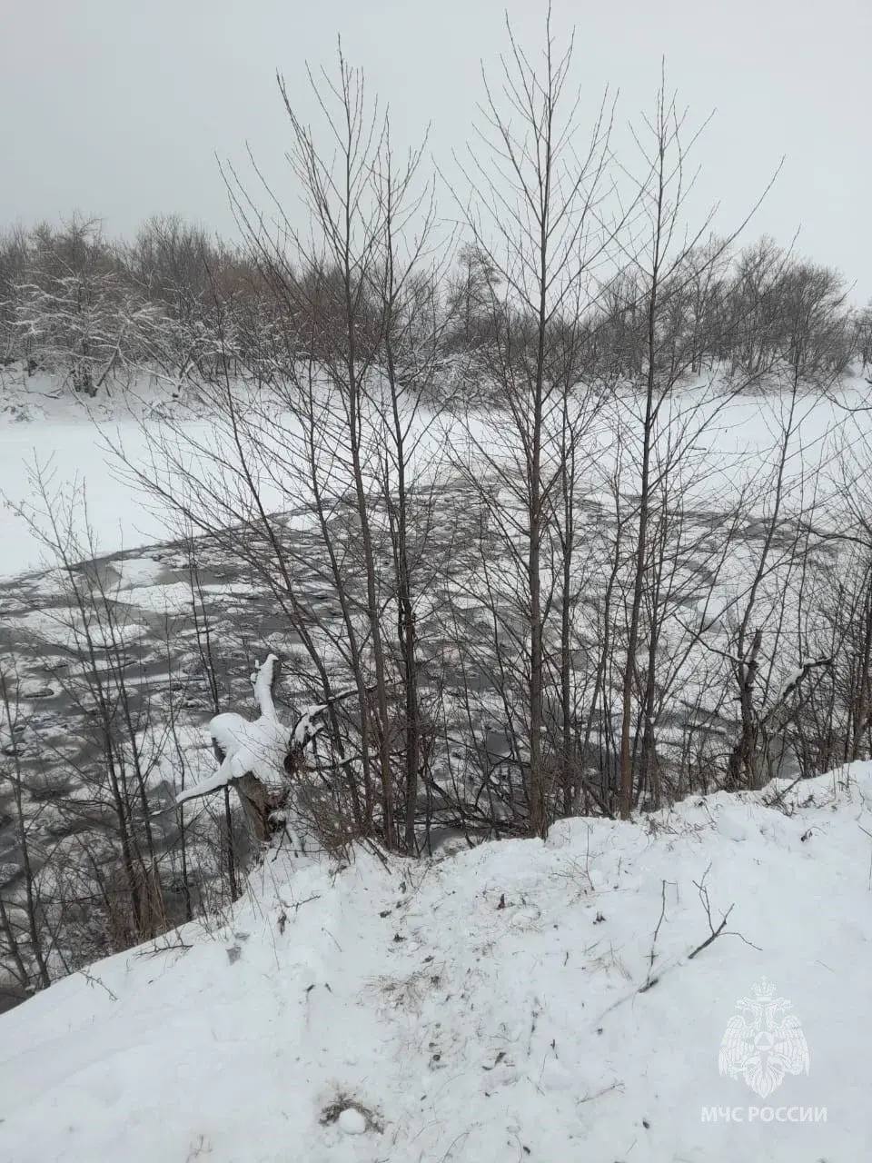 Более 200 овец подо льдом. ЧП произошло на озере Узеть возле хутора Луч Бирского района Более 200 овец подо льдом. ЧП произошло на озере Узеть возле хутора Луч Бирского района