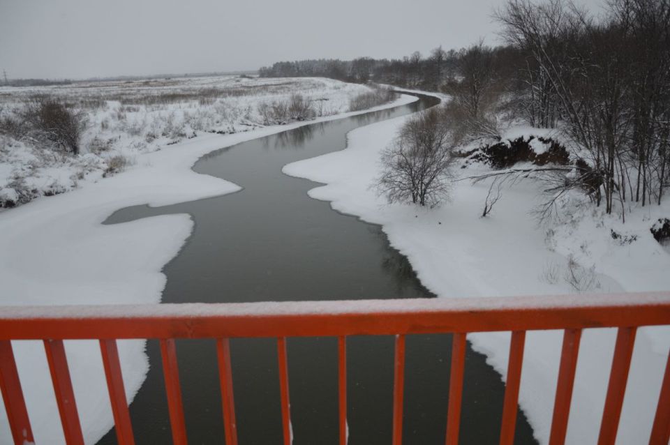 ���� ����� ���� ������� ����� � ������������ ������ ������