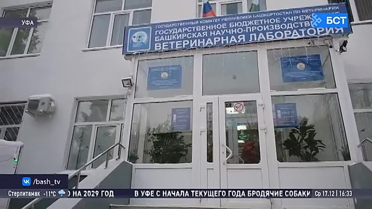 В Башкирию с рабочим визитом прибыл глава Минсельхоза России