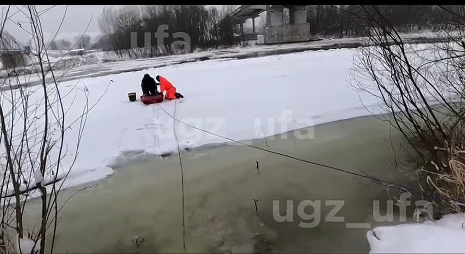 ������������� �������� �� ���� �����: ������ ������ �� ���� ���