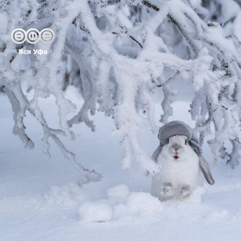 �� ������ ������������, 19 ������� � ��� �������� ������