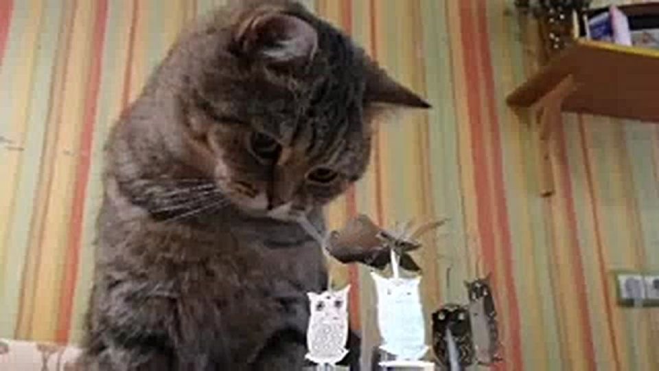 ���������� �������� � ����� ����� ���������� ����� �� 15 �����