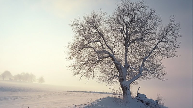 Нашли потеряшку. Накануне в лесу заблудился житель Белебеевского района