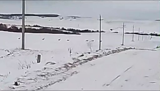 � ������������� ������ �������� ����� ������