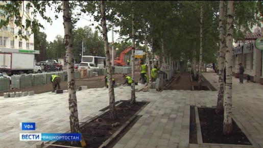 Прямая линия с Путиным началась