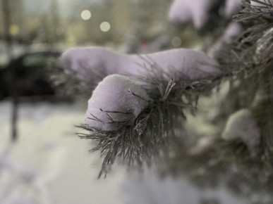 По данным Башгидромета, 19 декабря на территории республики ожидается облачная погода