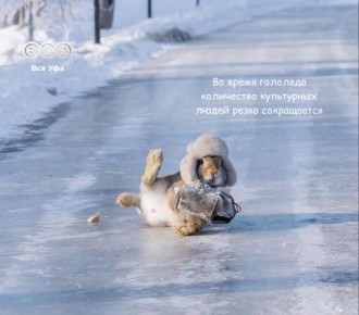 �� ������ ������������, � ��� � 19 �� 20 ������� �������������� �������� ������