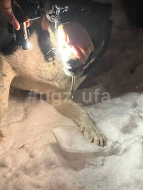 ������ ��������� �������. ��� ���������� �������, ������ ������ � ������������� ������� � ��������� �� ��������