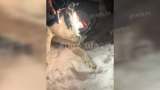 � ��� ��������� ������� ������ � ������������� ������� �� �������