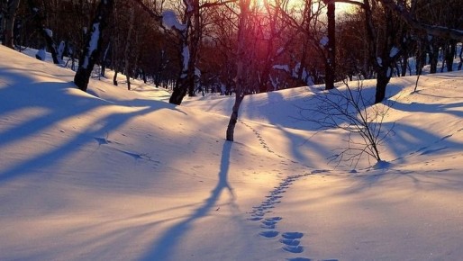 �� �������� ����������� ������