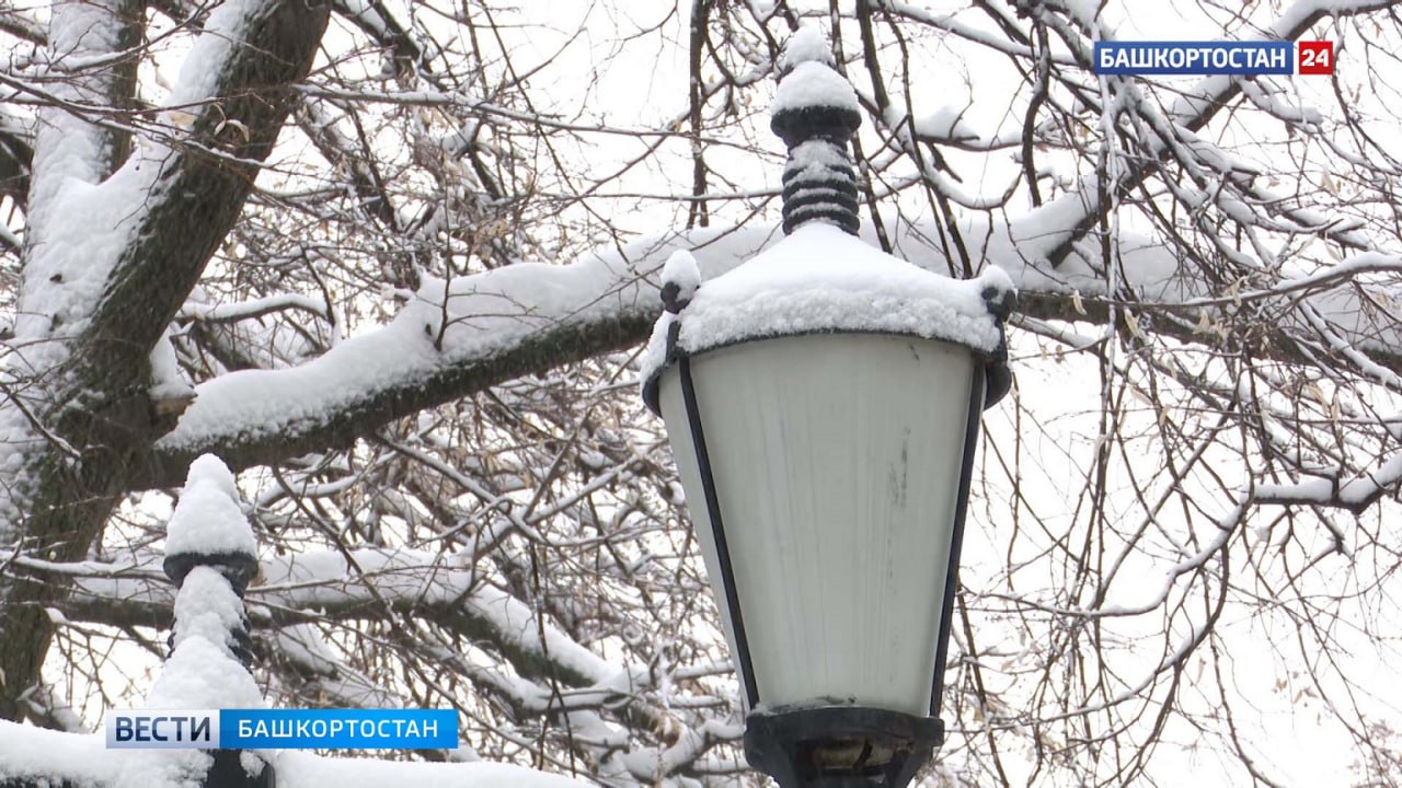 На 4-8° выше нормы: в Башкирию придет аномальное тепло