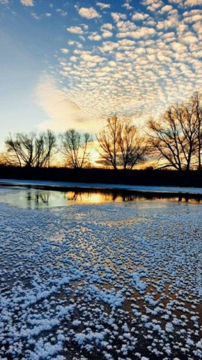 ������� ������ �������. ���� �������