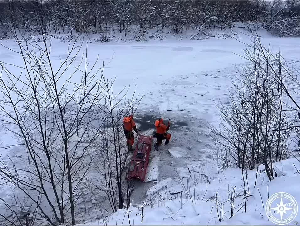 Из озера Узеть в Башкирии извлекли 780 утонувших животных