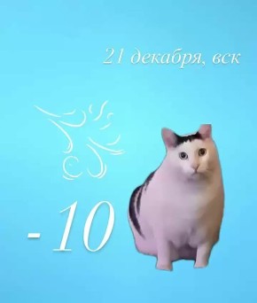 ������ ����! ������� ��� ��������!