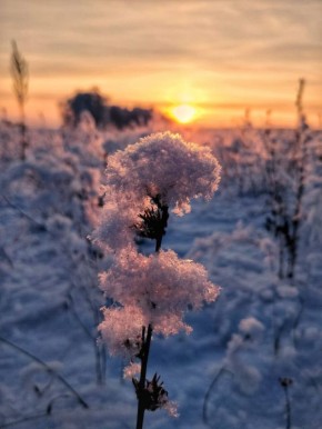 ������� � ������ ����� �������� ���� � ����