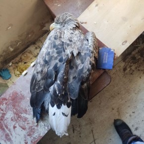 ������� �������������� ������