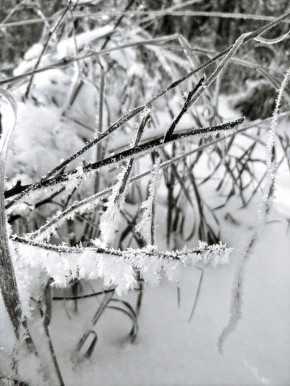 �� ������ ������������, 22 ������� �� ���������� ���������� ��������� �������� ������