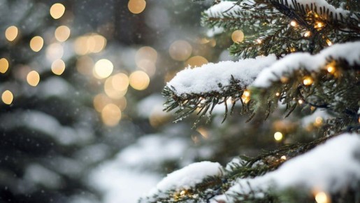 ��������� 573 ������� �������