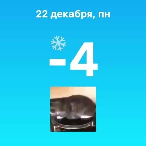 ������ ����, ���!