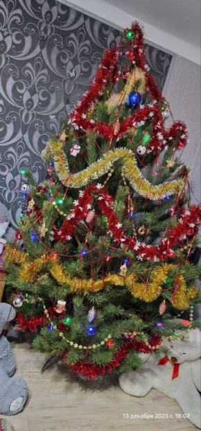 ����������, ����� �������� ������ � ����� �����������