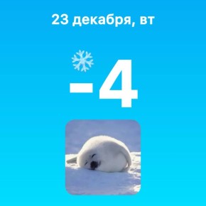 �� ��������� ������ �������� ����� ��� ���