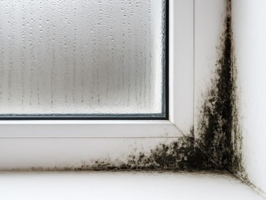 ��� ���������� � ������� ��������: �������� ������� � ����� ����