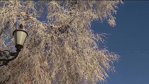 ����������� ������� ������ ���