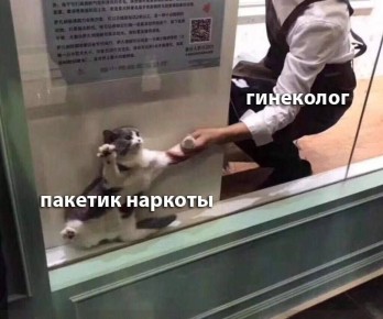 ���������� � �������� ��������� �� ������������ � ����� ��������� � ������ �������