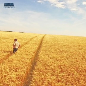 ������������ ��������������� � ������������� � 2025 ���� ��������� 214 ��� ������