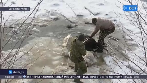 � �������� �������� ��������� ���� ������� ����� 20 ��� ������