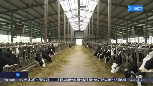 � �������� ������� ����� 2025 ���� � ���������������� �������