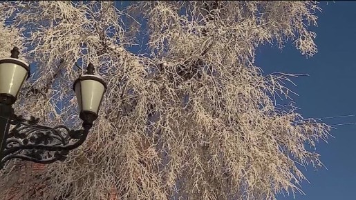 ��� ������� ������