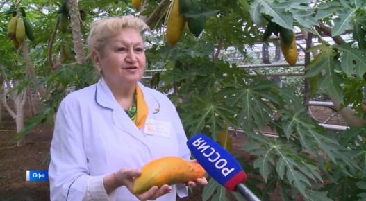 ��� ����� ������� � ��������� ������ ����� ���� ���