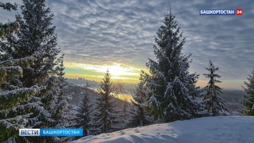 ����������� ����� � �������� ���������� �� -36