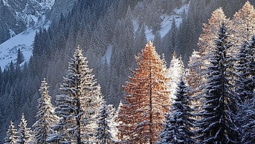 �������� ������� ������. �������, 24 �������, ��������� ��������� ����, � ��������� ������� ���������������