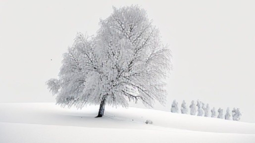 ������� �������� ���� �������� � ������� ������