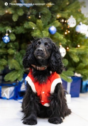 �� ������ ������. � ��������� ��� ��������� ������ �� ������ ���� � �������� �� �������������� ������ � ���������� � ������ ���� � ����� �� ������ � ����������� ��������������