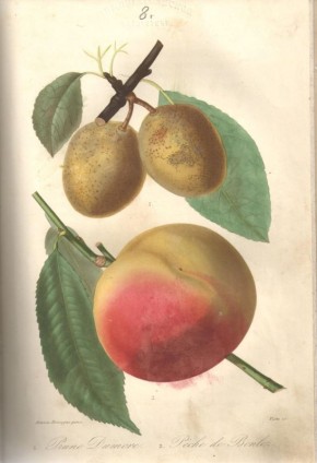 ��� �������� ������� ������ ������� ����������� �� ��������� ��������