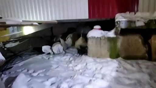 �� ������ ������ ������� ����