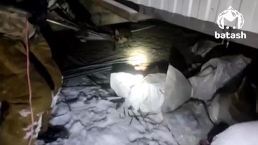 Бешеная лиса покусала мужчину и собаку на Оренбургском тракте в Уфе