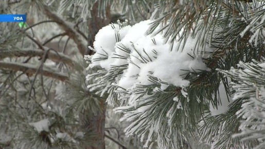 ��������� ���������� � ������ �� ��������� ����������� 2025 ����