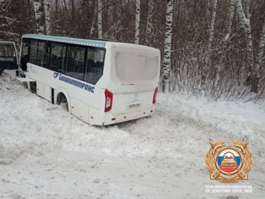Автобус влетел в дерево. Около трёх часов дня на улице Первомайской в Салавате 64-летний водитель автобуса не справился с управлением и допустил съезд в кювет